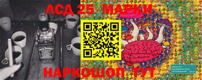 эйфоретик Новокубанск