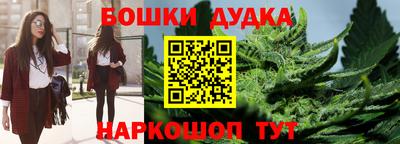эйфоретик Новокубанск