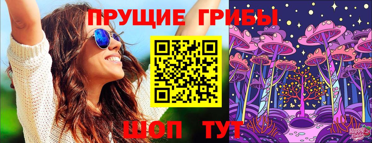 Псилоцибиновые грибы прущие грибы Сочи